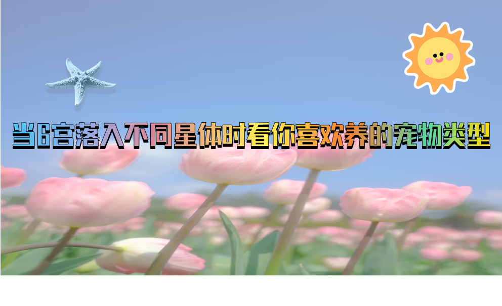当6宫落入不同星体时看你喜欢养的宠物类型
