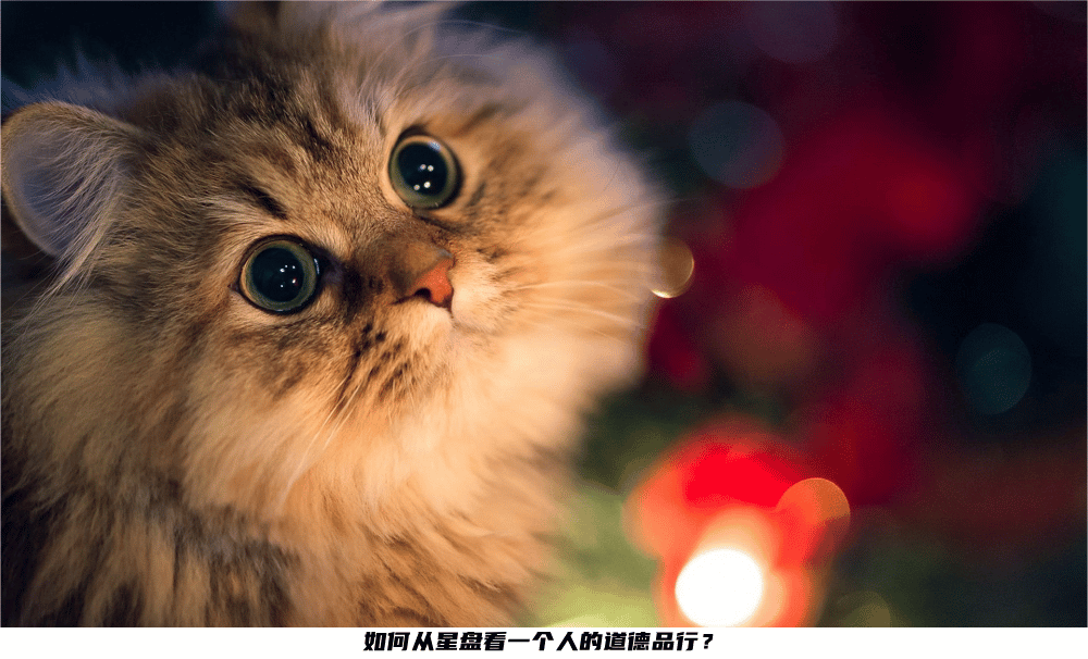 如何从星盘看一个人的道德品行？