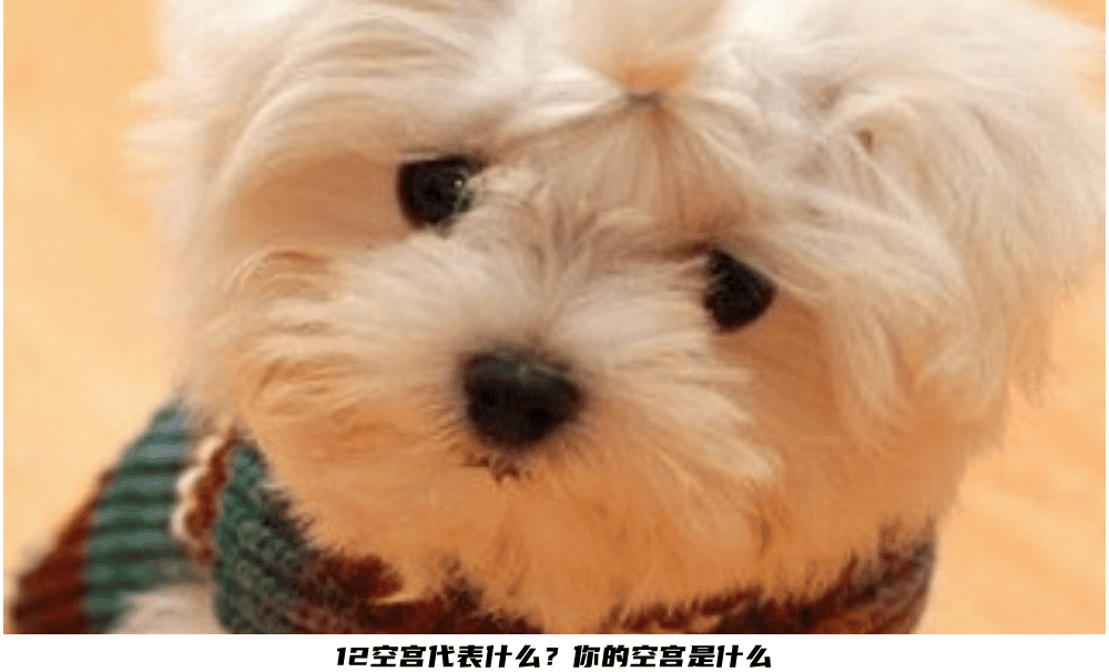 12空宫代表什么？你的空宫是什么