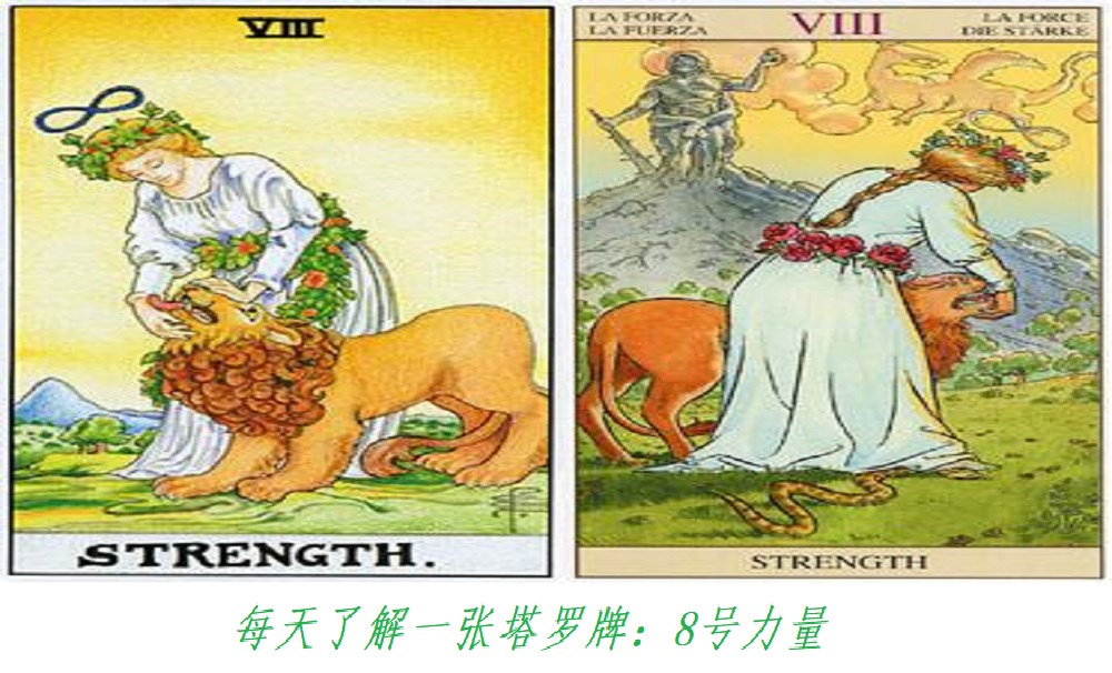每天了解一张塔罗牌：8号力量，身体和心灵的双修!
