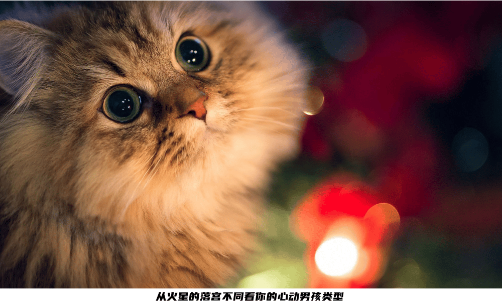 从火星的落宫不同看你的心动男孩类型