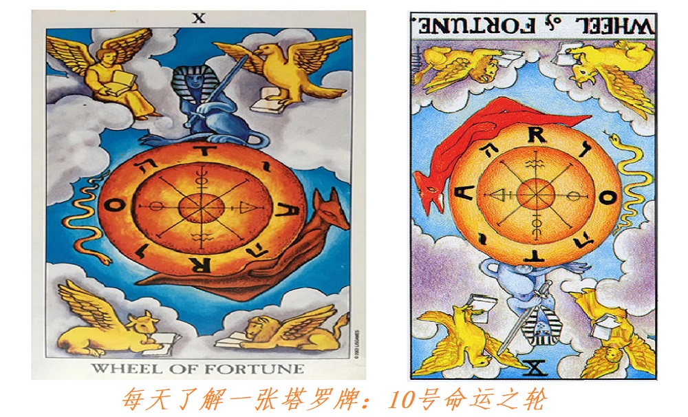 每天了解一张塔罗牌：10号命运之轮，不可抗力的因果循环！