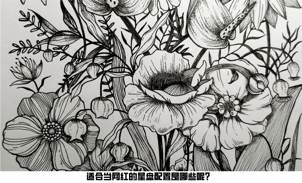 适合当网红的星盘配置是哪些呢？