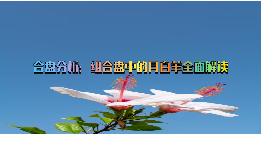 合盘分析：组合盘中的月白羊全面解读