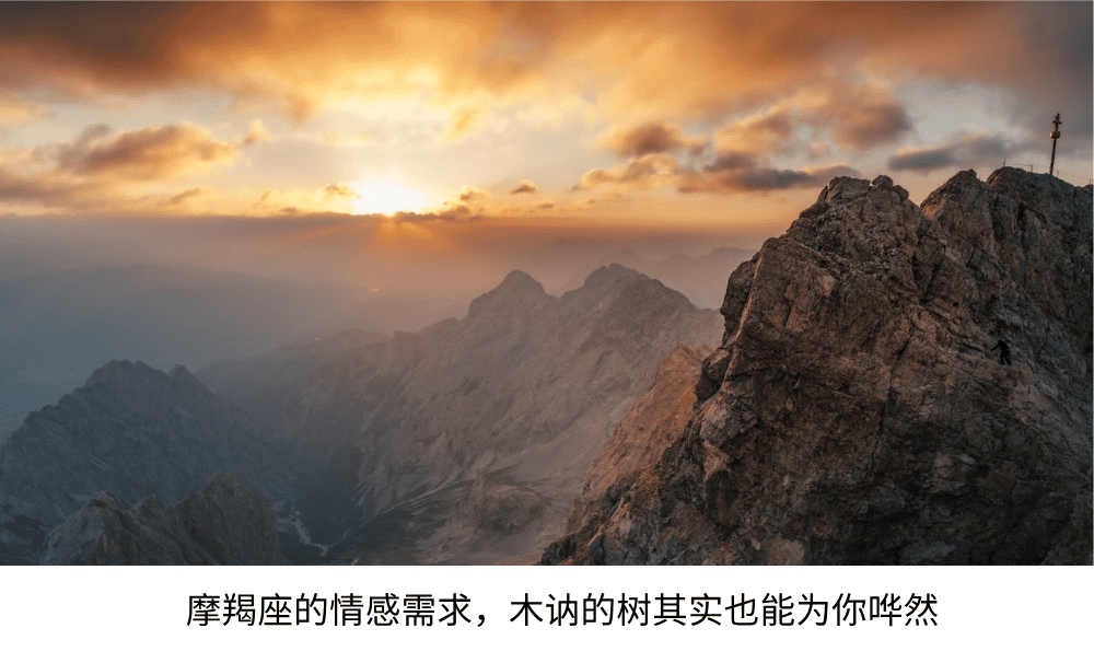 摩羯座的情感需求，木讷的树其实也能为你哗然