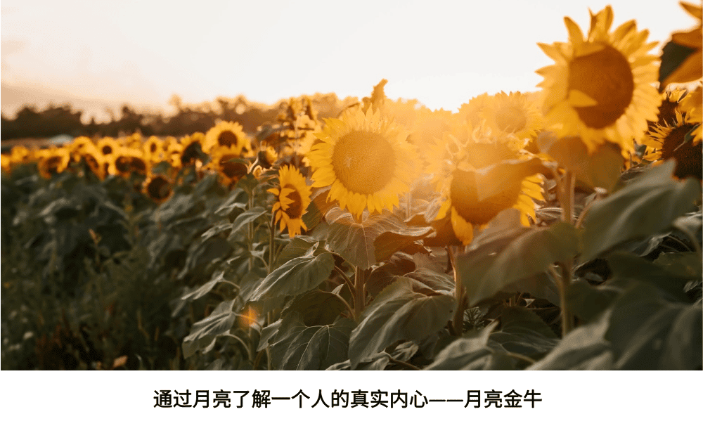 通过月亮了解一个人的真实内心——月亮金牛