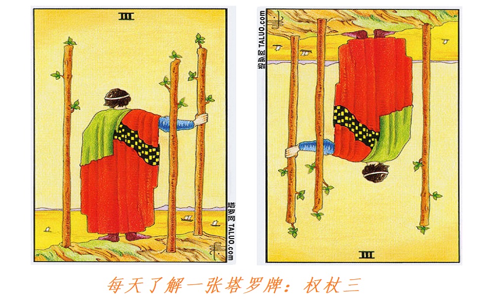 每天了解一张塔罗牌：权杖三，前进！前进！前进！