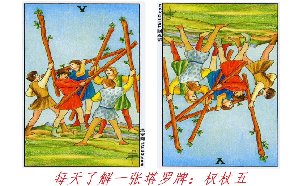 每天了解一张塔罗牌：权杖五，战争！全面爆发！
