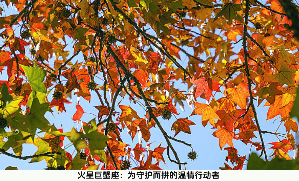火星巨蟹座：为守护而拼的温情行动者