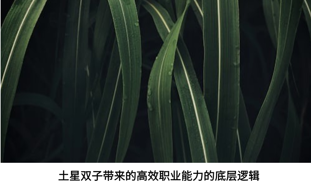 土星落在双子座对学习和事业带来怎样的影响？