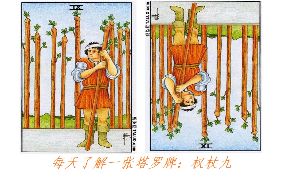 每天了解一张塔罗牌：权杖九，永不言弃！