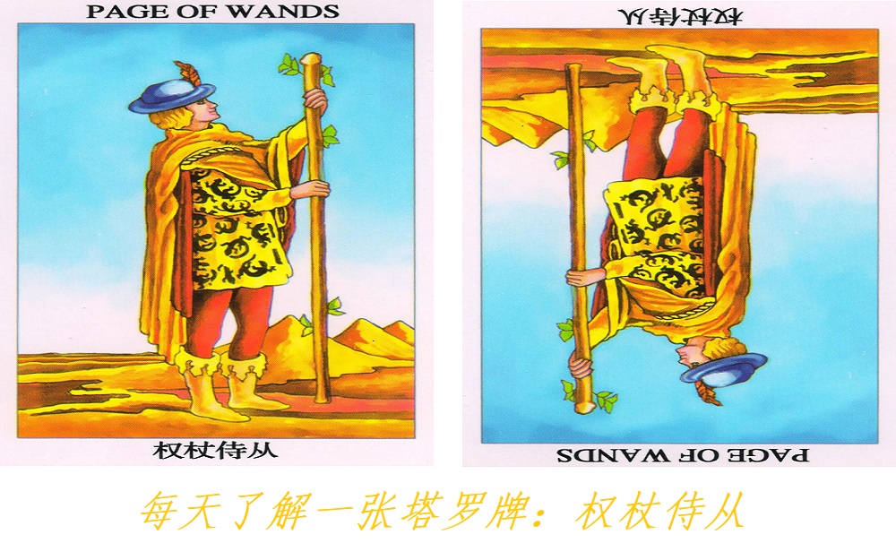 每天了解一张塔罗牌：权杖侍从，新的开始！新的挑战！