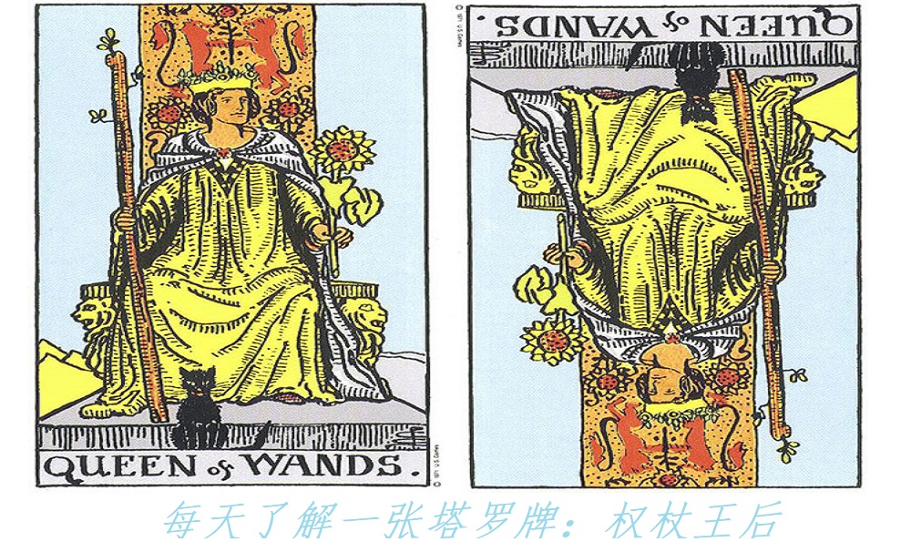 每天了解一张塔罗牌：权杖皇后，热情迷人的代表！