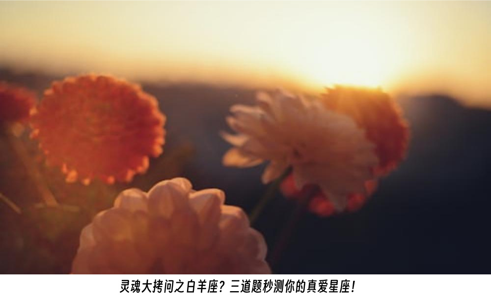 灵魂大拷问之白羊座？三道题秒测你的真爱星座！