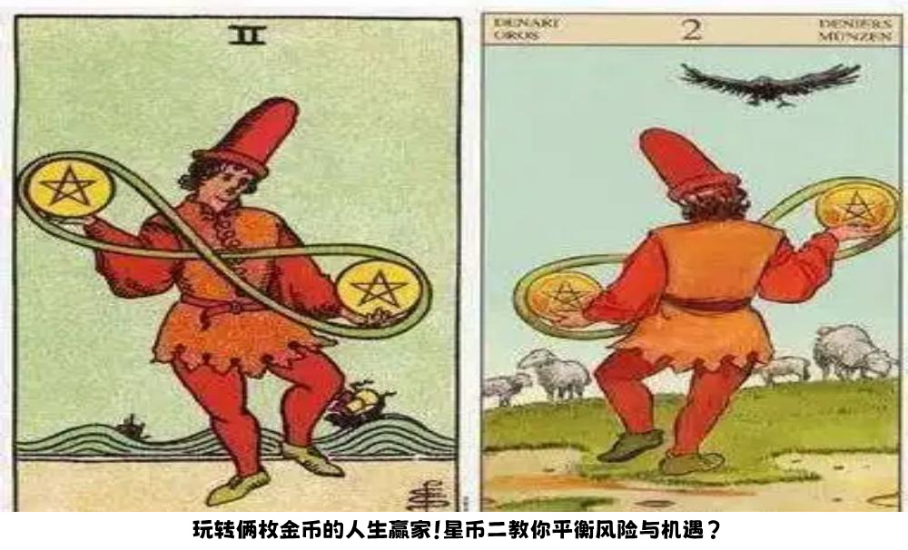 玩转俩枚金币的人生赢家！星币二教你平衡风险与机遇？