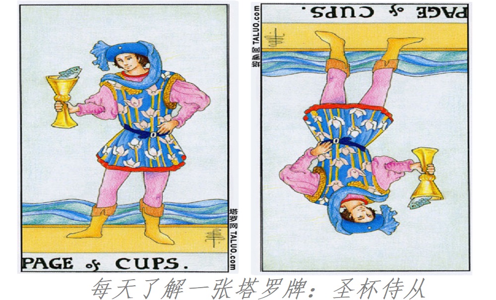 每天了解一张塔罗牌：圣杯侍从，一位感情艺术家！