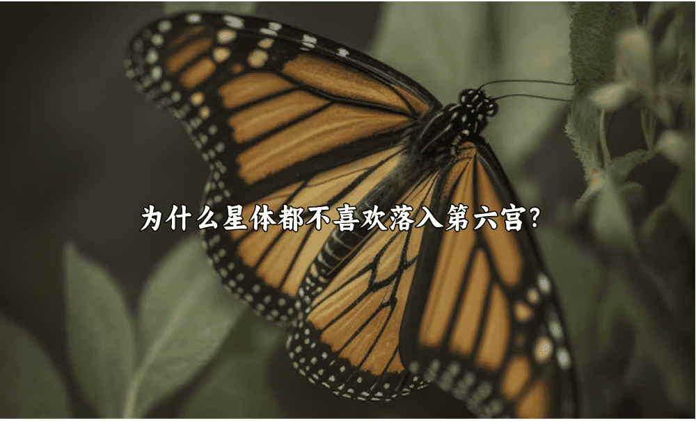 为什么星体都不喜欢落入第六宫？