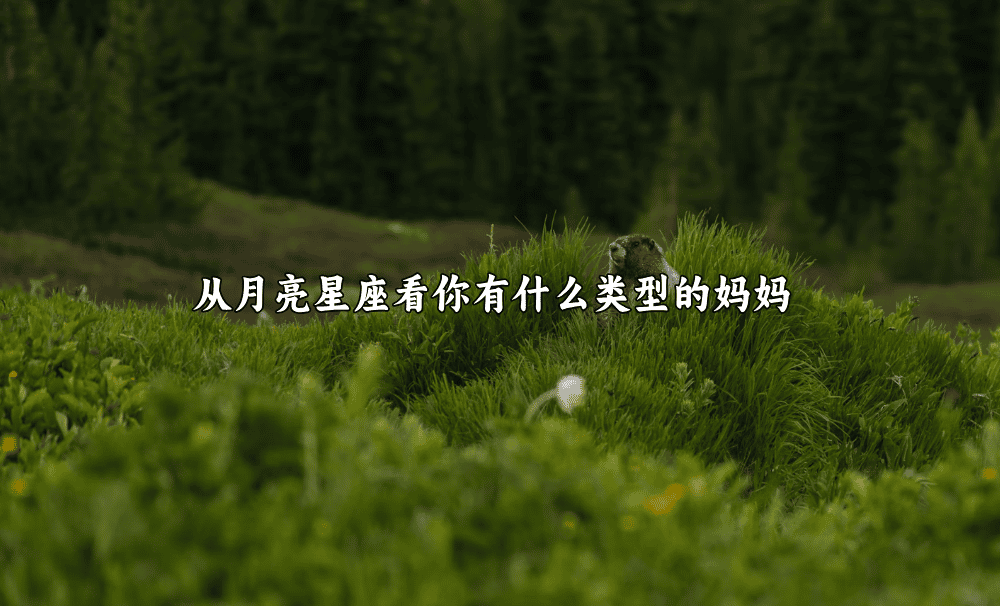 从月亮星座看你有什么类型的妈妈