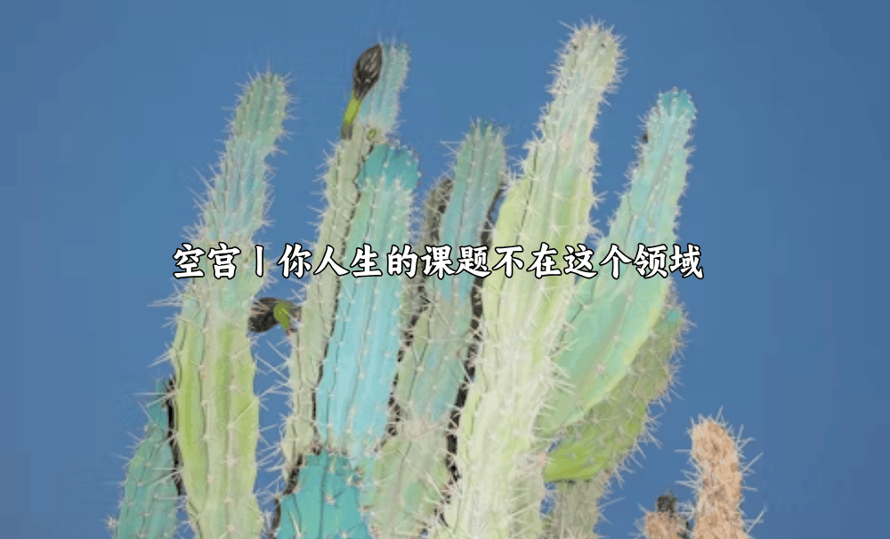 空宫丨你人生的课题不在这个领域