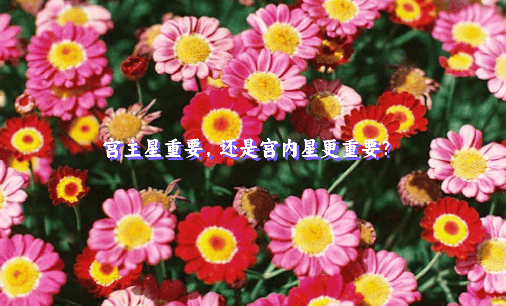 宫主星重要，还是宫内星更重要？