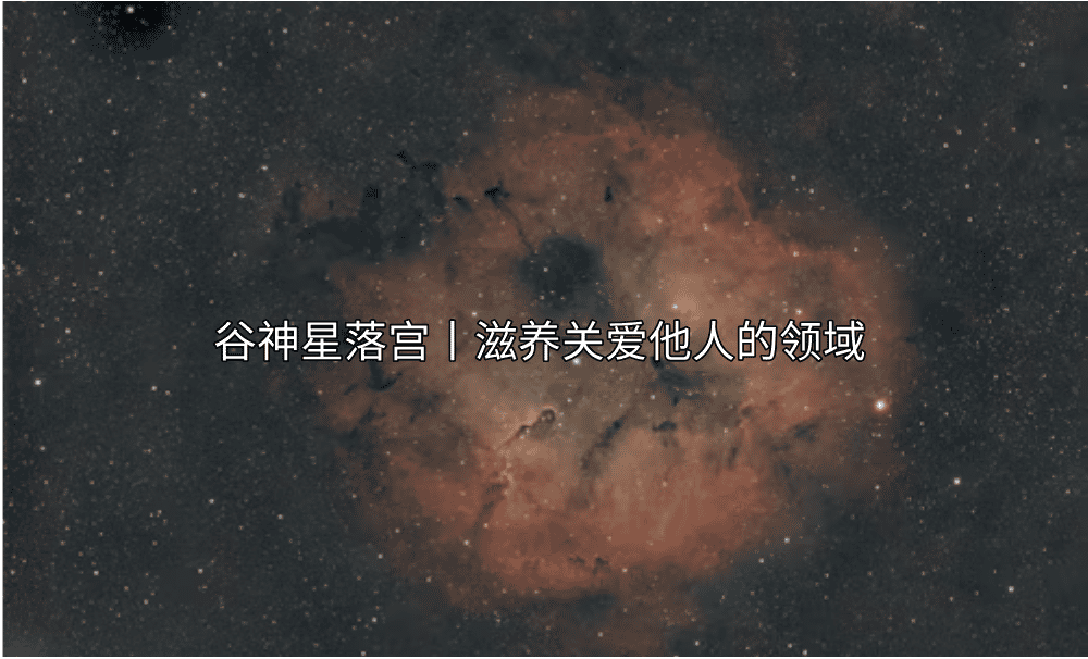 谷神星落宫丨滋养关爱他人的领域