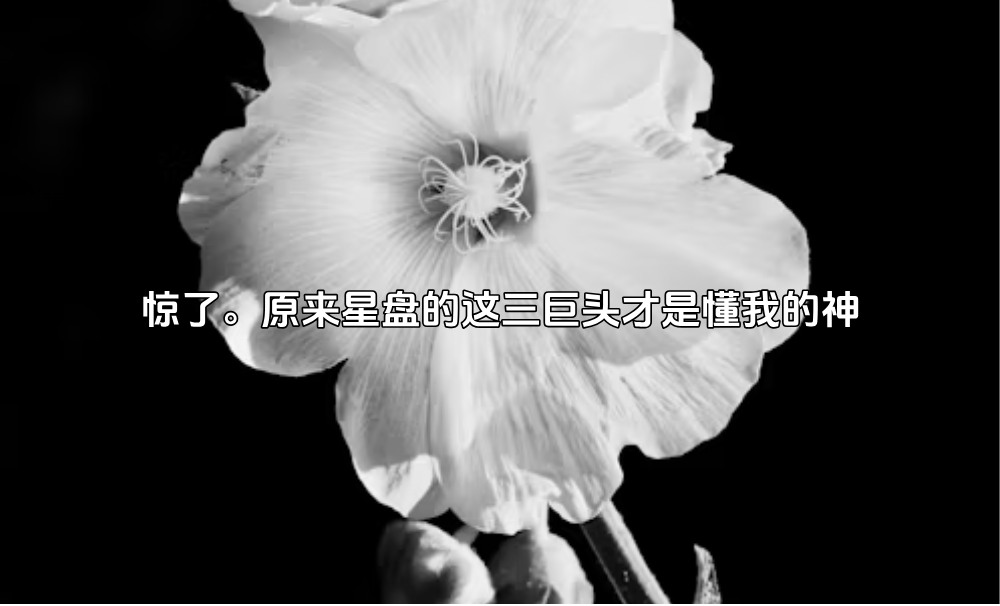 惊了!原来星盘的这三巨头才是懂我的神