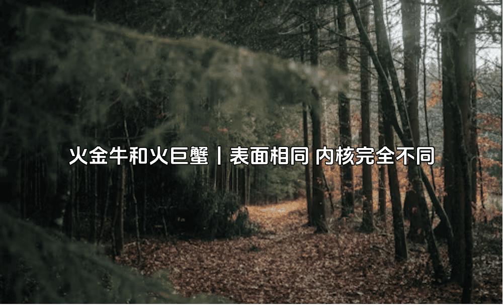火金牛和火巨蟹丨表面相同内核完全不同