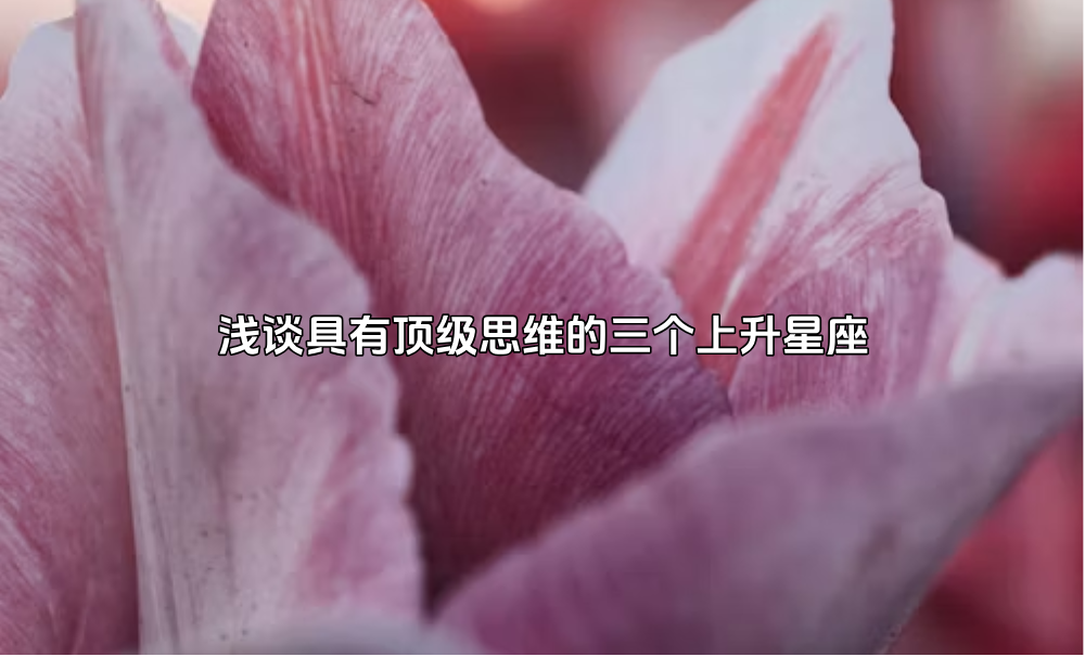 浅谈具有顶级思维的三个上升星座