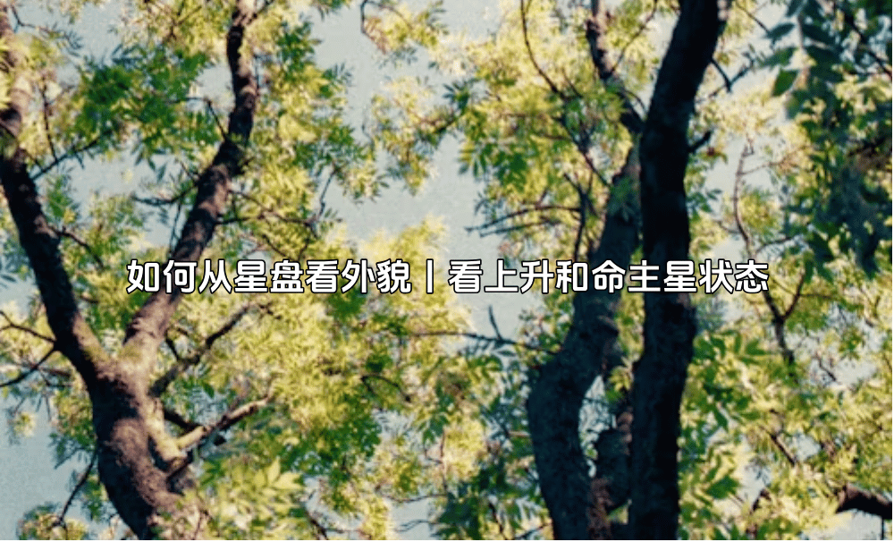 如何从星盘看外貌丨看上升和命主星状态