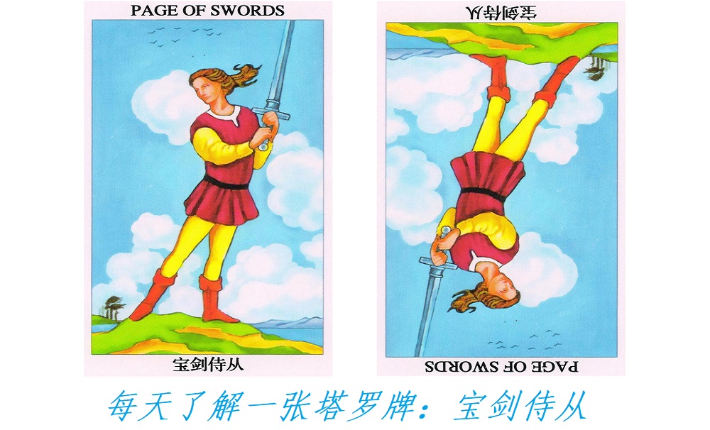 每天了解一张塔罗牌：宝剑侍从，手握宝剑的“愚人”！