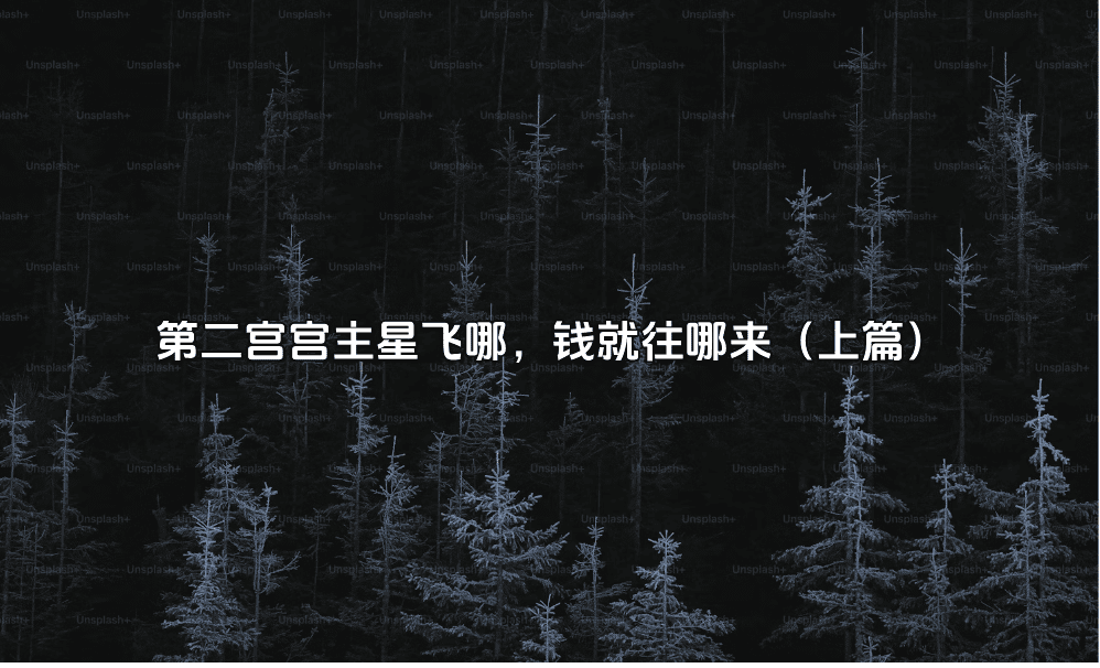 第二宫宫主星飞哪，钱就往哪来（上篇）