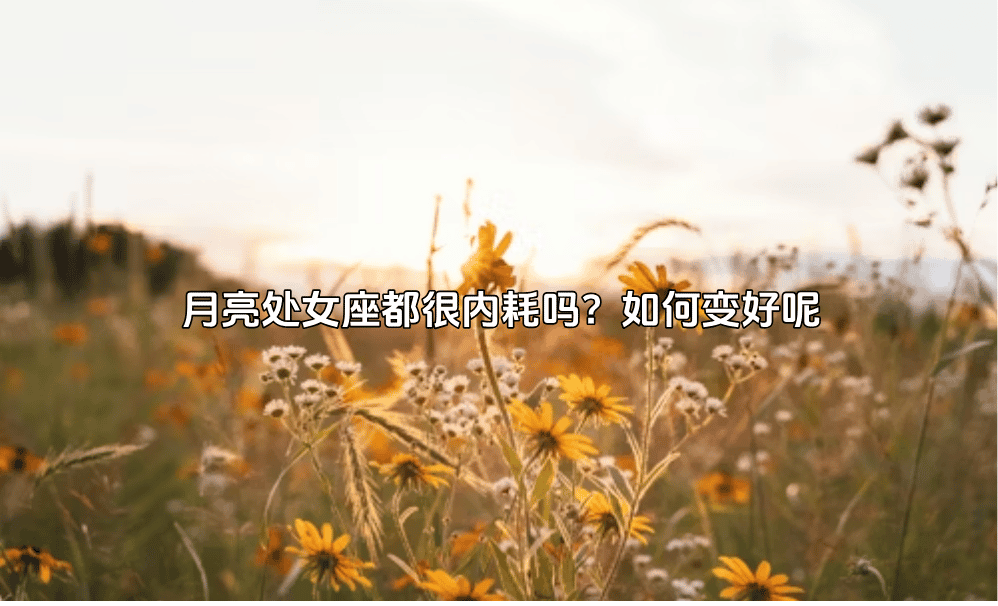 月亮处女座都很内耗吗？如何变好呢