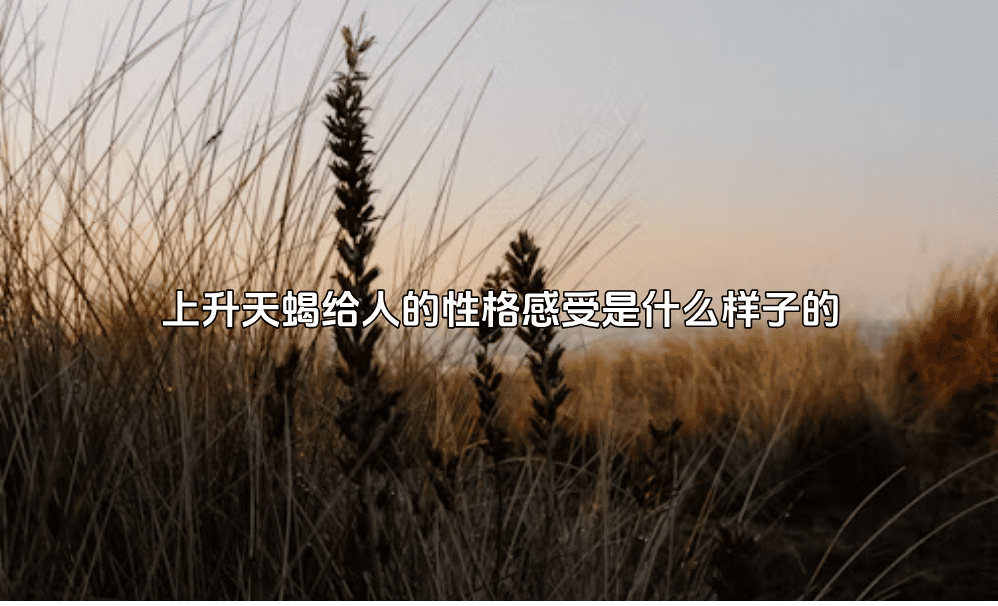 上升天蝎给人的性格感受是什么样子的