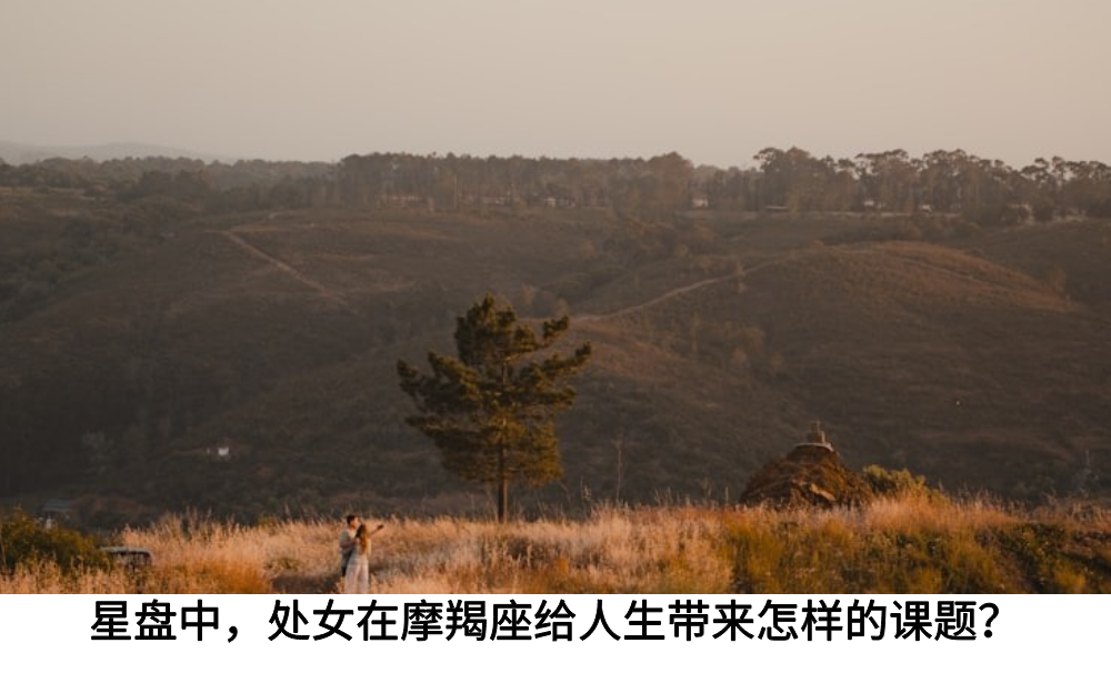 星盘中，摩羯座在天顶给人生带来怎样的课题