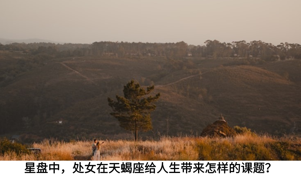 星盘中，天蝎在天顶给人生带来怎样的课题