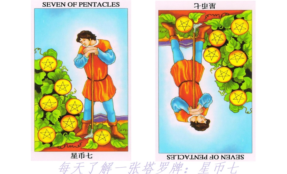 每天了解一张塔罗牌：星币七，劳动最光荣！