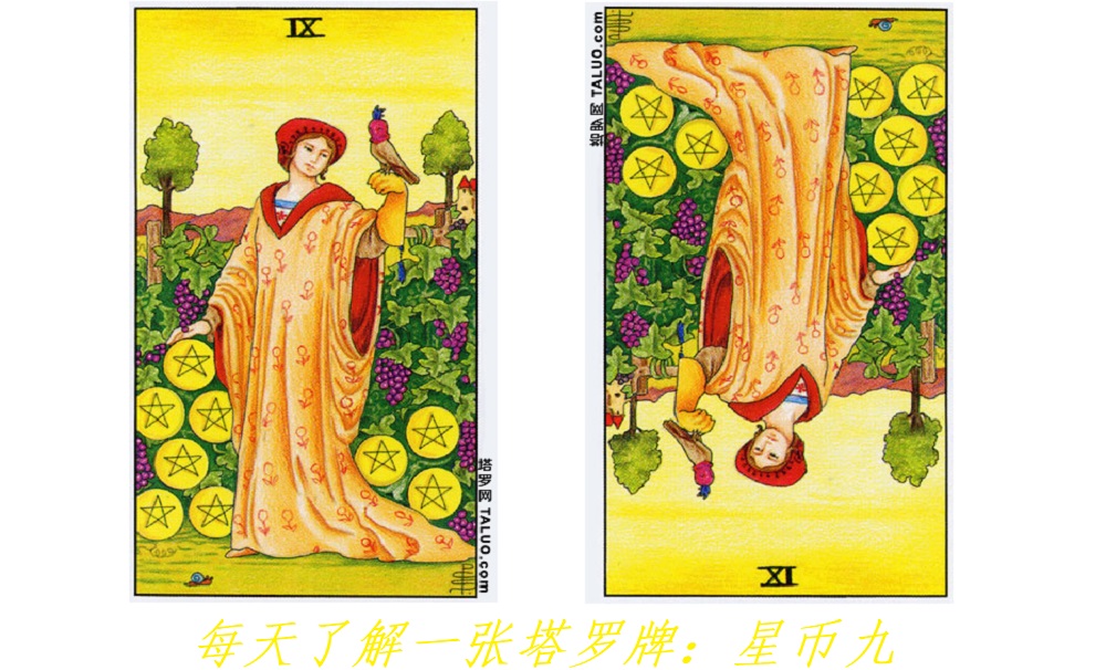 每天了解一张塔罗牌：星币九，“节制”的女主人！