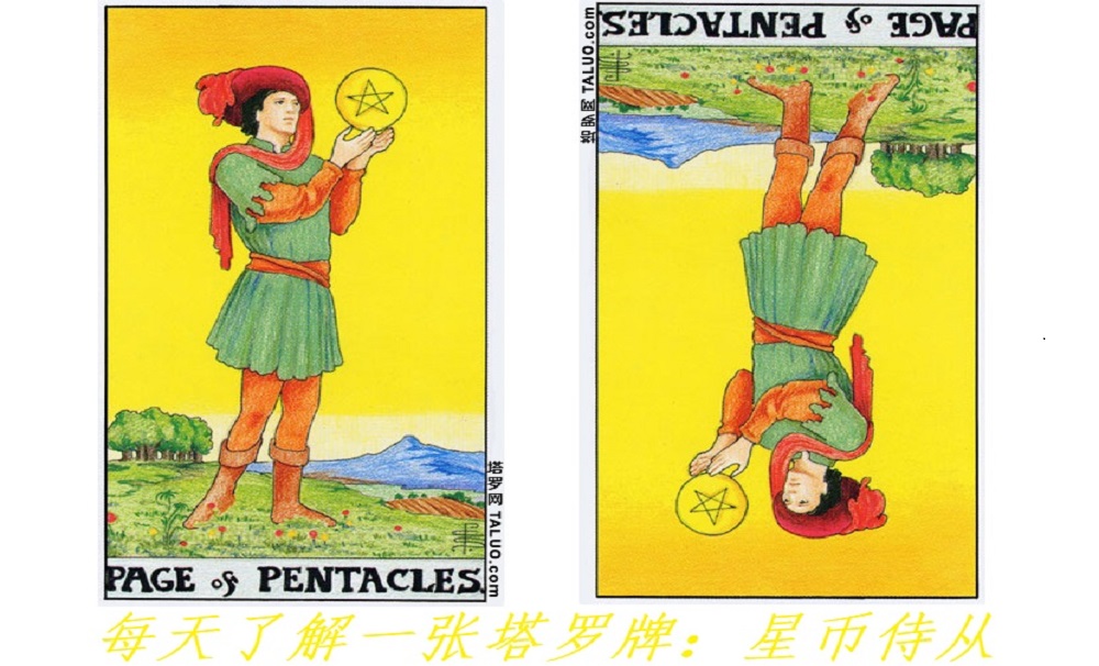 每天了解一张塔罗牌：星币侍从，物质的探索之路！