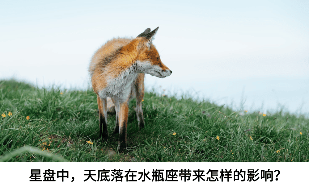 星盘中，天底落在水瓶座带来怎样的影响