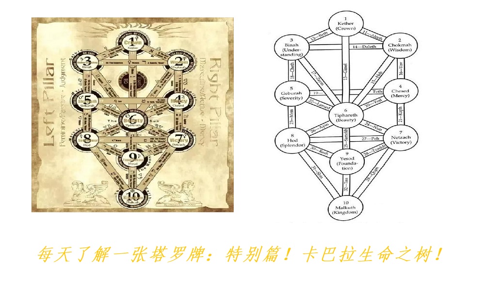 每天了解一张塔罗牌：特别篇！卡巴拉生命之树！（上）