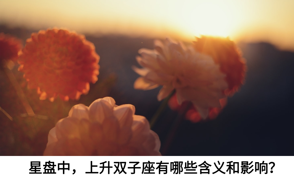 星盘中，上升双子有哪些含义和影响？