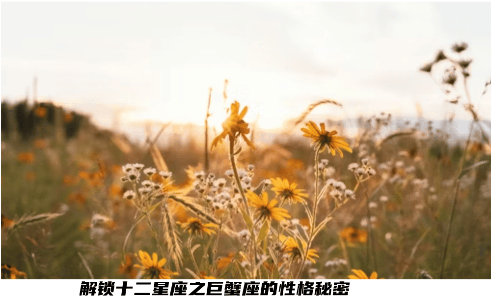 解锁十二星座之巨蟹座的性格秘密