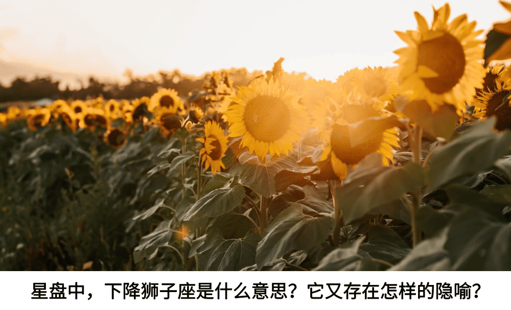 星盘中，下降狮子是什么意思？它又存在怎样的隐喻？