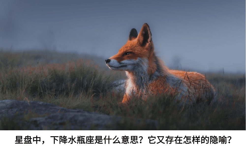星盘中，下降水瓶是什么意思？它又存在怎样的隐喻？