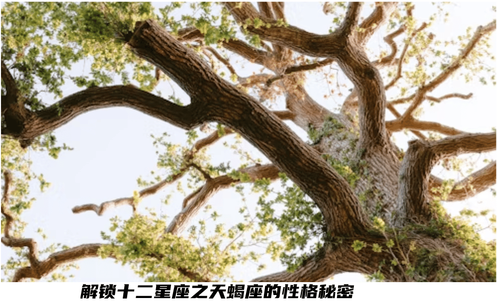 解锁十二星座之天蝎座的性格秘密
