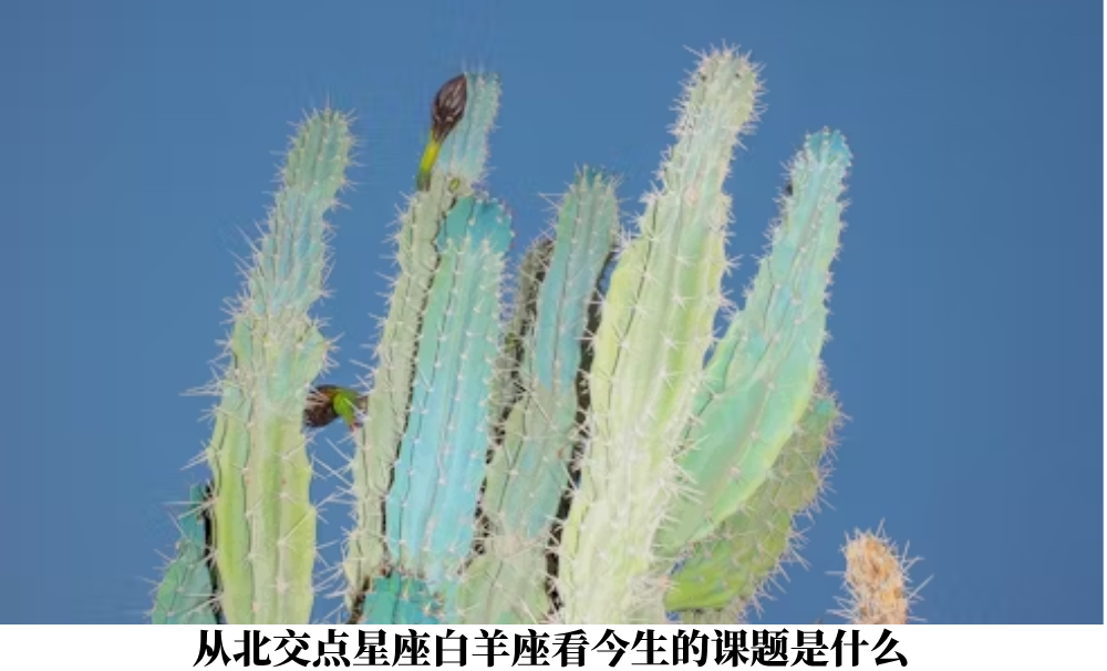 从北交点星座白羊座看今生的课题是什么