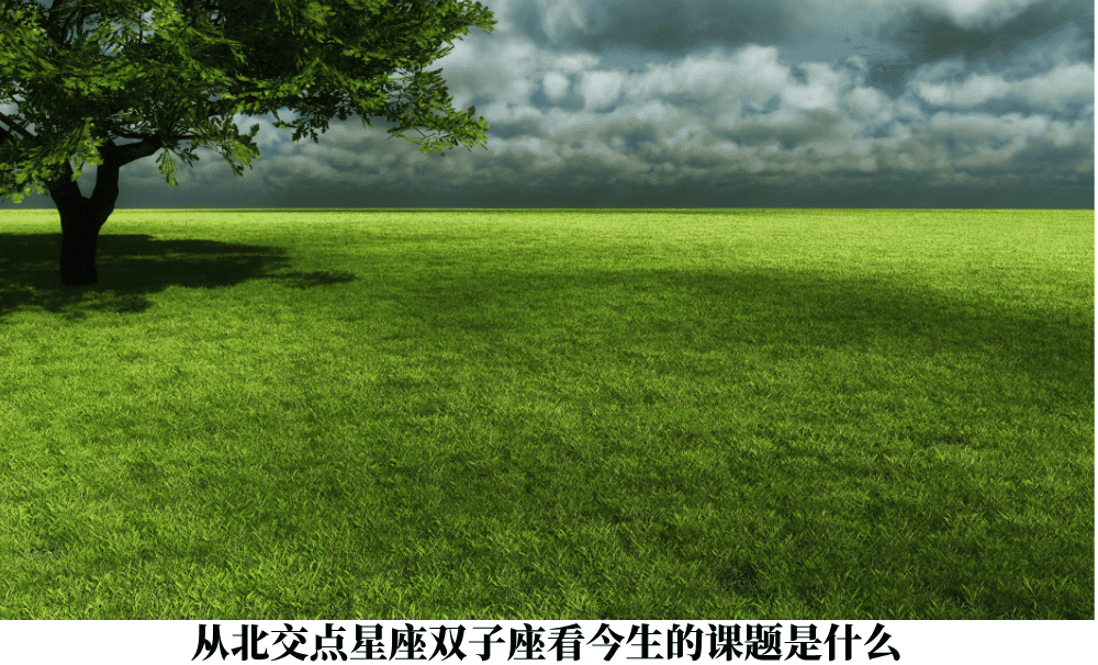 从北交点星座双子座看今生的课题是什么