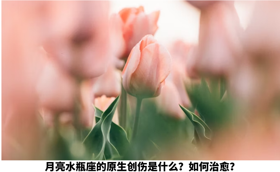 月亮水瓶座的原生创伤是什么？如何治愈？