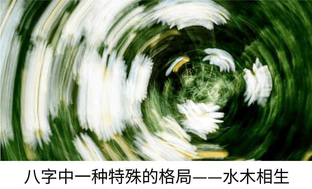 八字中一种特殊的格局——水木相生