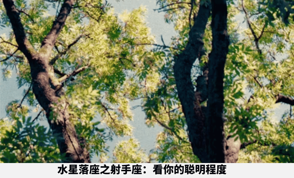 水星落座之射手座:看你的聪明程度